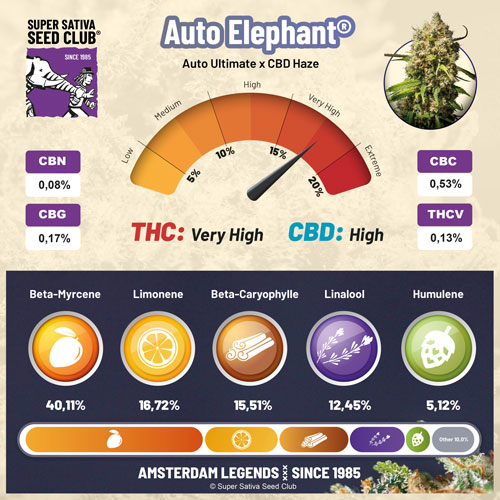 Auto Elephant terpenes
